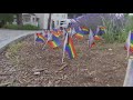 Hundreds of Pride flags stolen from Massachusetts town