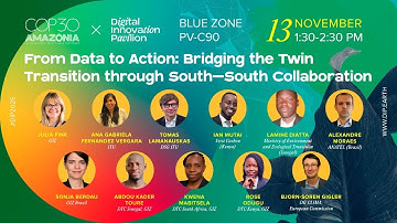 From Data to Action: Bridging the Twin Transition through South–South Collaboration