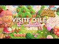 Visite dle st valentin juste wow   animal crossing new horizons