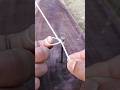 strong, safe and essential knot that is very useful in life!