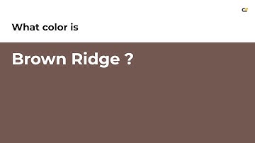 Brown Ridge color #735852 hex color - Red color - Cool color 735852