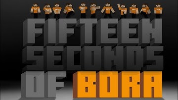 15 Seconds Of Bora intro - Minecraft Version