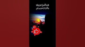 قَالُوا مَا أَنتُمْ إِلَّا بَشَرٌ مِّثْلُنَا وَمَا أَنزَلَ الرَّحْمَٰنُ مِن شَيْءٍ ماتيسر من سورة يس