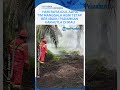 Momen Hari Raya Idul Adha, Tim Manggala Agni Tetap Berjibaku Padamkan Karhutla di Dua Titik di Riau