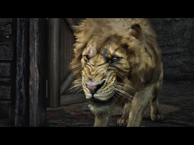RED DEAD REDEMPTION 1 - PS4 - Lion Games