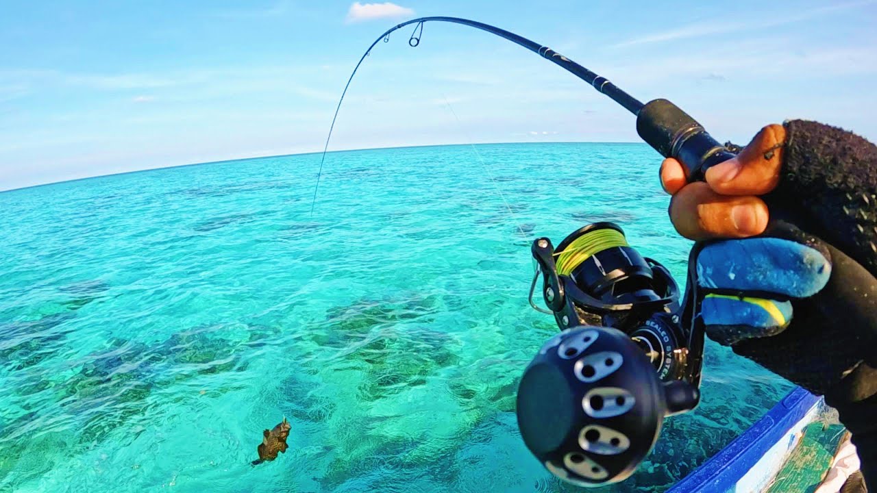 Nemu Spot Mancing yang isinya Ikan KERAPU BABON, Serasa Narik Batu Karang