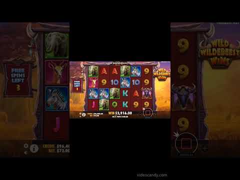 Découvrez Wild Clusters : Jouez gratuitement au casino en ligne en France