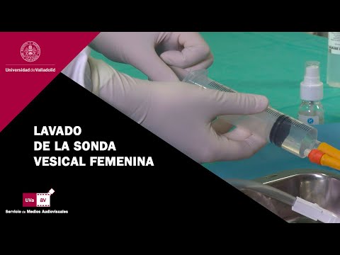 LAVADO DE LA