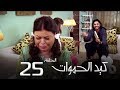 مسلسل كيد الحموات الحلقة | 25 | Ked El Hmwat Series Eps