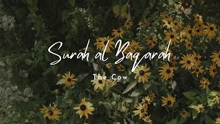 Download Lagu SURAH AL BAQARAH - THE COW | QURAN 2:1-10 | BY ABDUL AZIZ ABDULLAH AL HAMRI | HUMANE ISLAM \u0026 QURAN MP3