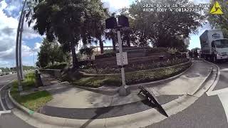 Police Remove 'Unhappy' Alligator From Florida Highway