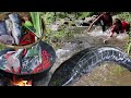 Catch fish in river for Survival food & Yummy fish tasty cooking for lunch - My Natural Food ep 61