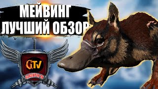 Мейвинг (Maewing) в АРК. Лучший обзор: приручение, разведение и способности в ark.