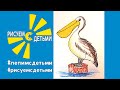 Как нарисовать ПЕЛИКАНА. Рисуем с детьми экзотических птиц. How to draw a PELICAN.