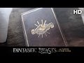 Fantastic Beasts and Where to Find Them (2016) Ilvermorny School of Witchcraft and Wizardry (HD)