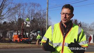 Eversource Investing $83 Million in Tree Trimming Across Connecticut in 2020