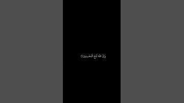 سعد أزويت || شاشه سوداء قران || والذين جاهدوا فينا لنهدينهم سبلنا || سورة العنكبوت