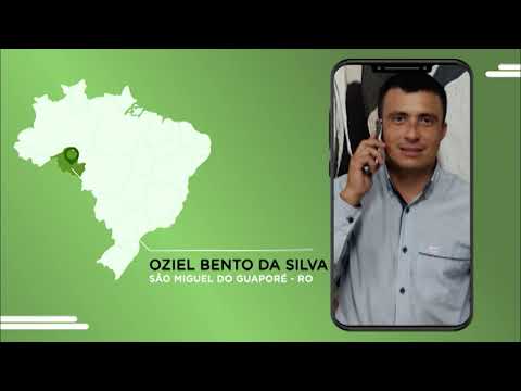 VACADA DÁ SHOW DE ACABAMENTO DE GORDURA NO INTERIOR DE RONDÔNIA