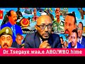 Dr Tsegaye Ararsaa Waa E ABO FI WBO Irratti March 2026