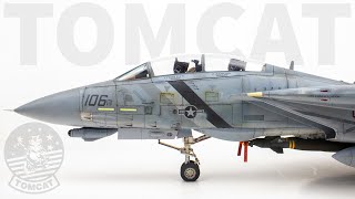 Taking Tamiya's F-14D Tomcat to the next level! Extended Sandwich Shading and Oils