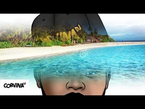 PARADO NO BAILÃO VRS BAILE DA GAIOLA ( 150bpm )