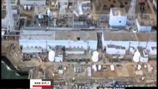 Fukushima Radiation Lie Report 5 15 11