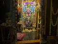 Iskcon tour #iskcon #1million #krishnabhajan @Harrshabworld
