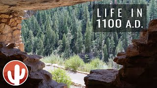 Descent into Walnut Canyon National Monument | Flagstaff, Arizona