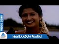 Manuneethi tamil movie songs  mayilaadum paarai song  murali  prathyusha  deva
