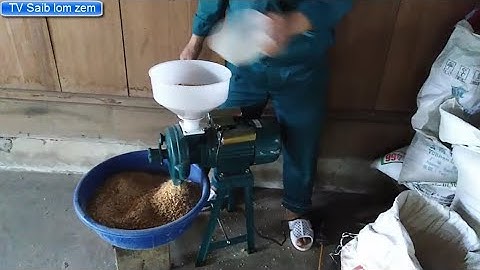 Cav zom pob kws pub nyuj, pub qaib nawb | TV Saib lom zem