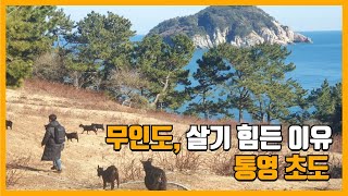 무인도에서 살기 힘든 이유, 통영 초도