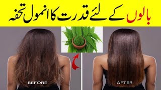 Hair Fall Treatment in Urdu | Girtay Kamzor Balon ka Asan Ilaj | Falling hairs problems and solution screenshot 4