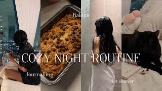 My Quiet Night Routine Living Alone Diary