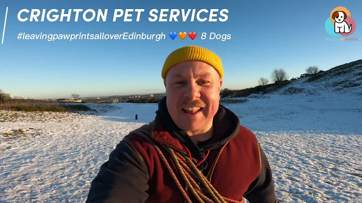 Wednesday afternoon with 8 Dogs | Diary of a Dog Walker | Highlights | #dogs #dogwalker | 14/12/22