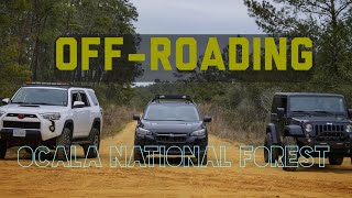 Family off-roading trip to Ocala National Forest. Toyota 4runner, Jeep Wrangler, & Subaru Crosstrek
