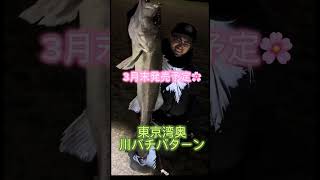アップミスしてた、すでに発売中です✌️ポジドライブガレージより2024年春の新作!スキニーズ88S🔥#ポジドライブガレージ