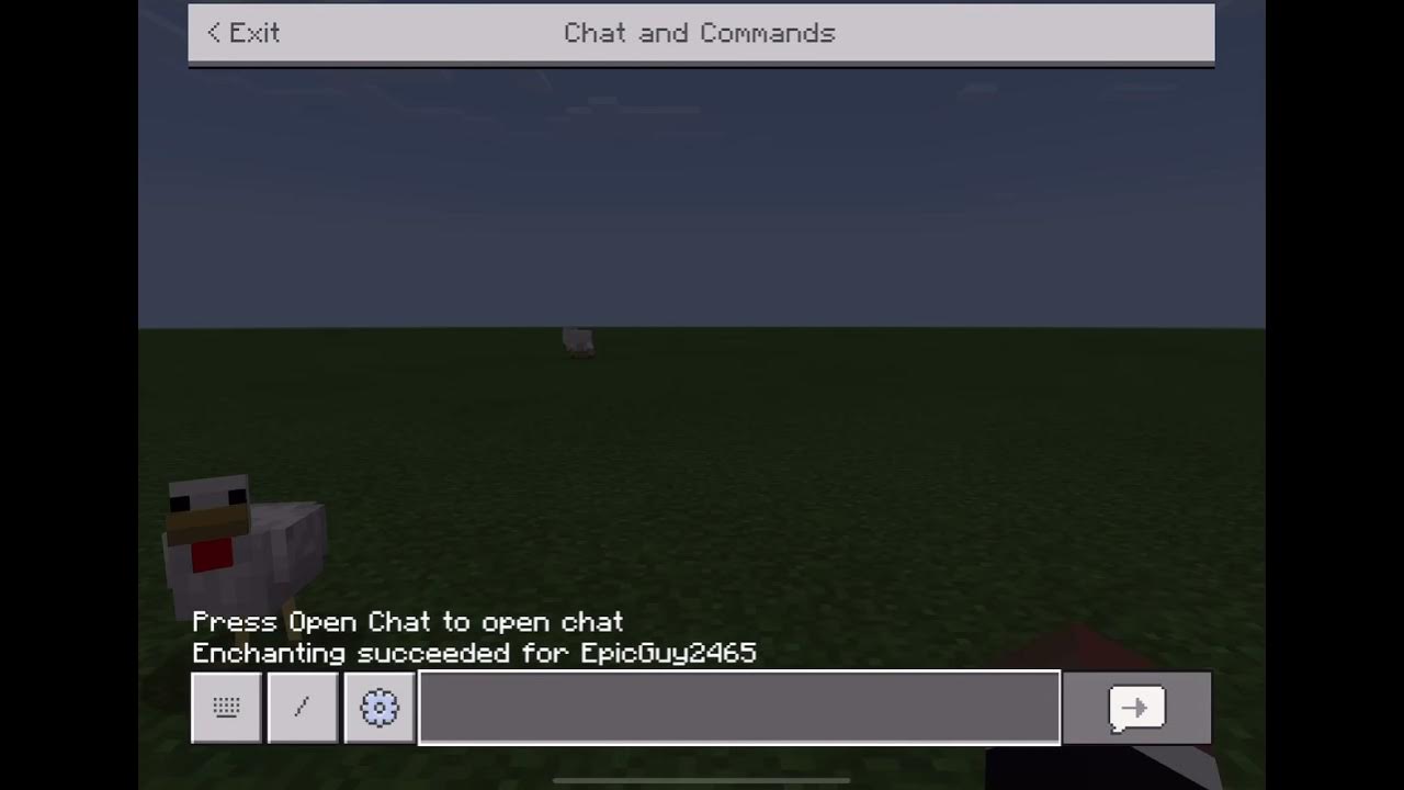 Experimenting With Epik 2 Shulker Box VS Ender Chest YouTube