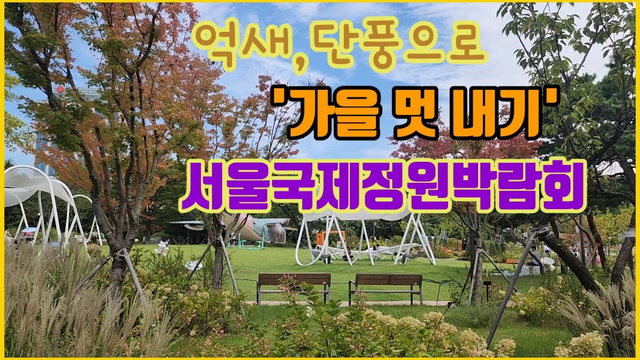 억새,단풍으로 가을 멋내기  서울국제정원 박람회#브레드 이발소 팝업 정원#가을산책#가을편지