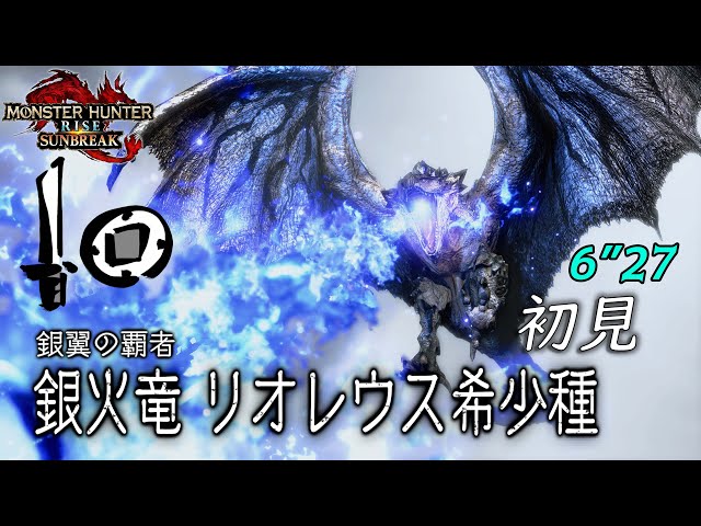 リオレウス希少種 初見片手剣 6