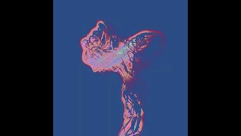 Burning flowers in the garden - TouchDesigner