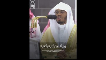 ﴿وَاللَّهُ جَعَلَ لَكُم مِن بُيوتِكُم سَكَنًا﴾ من سورة النحل للشيخ ياسر الدوسري رمضان ١٤٤٤هـ 🤍.
