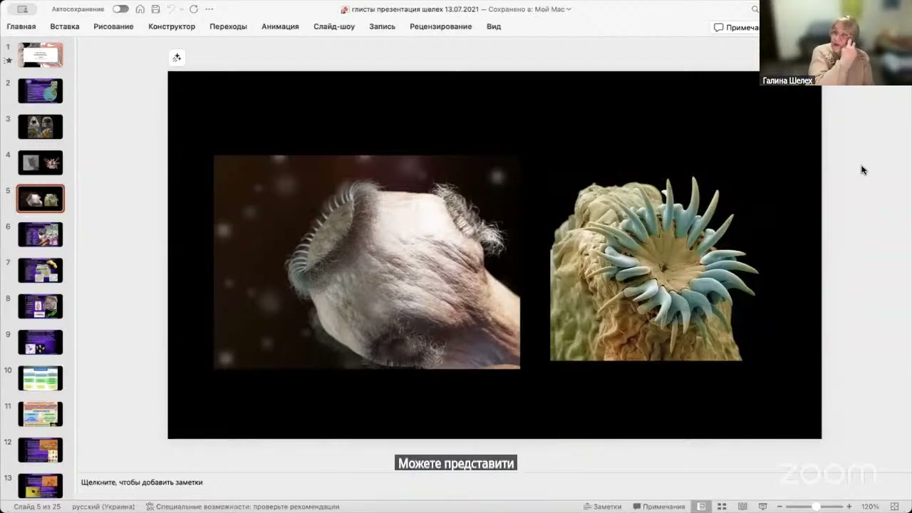 Осторожно паразиты !!! Галина Шелех - врач эпидемиолог и паразитолог // Мороз Вадим