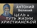 ЦЕЛЬ и ПУТЬ жизни христианской (АНТОНИЙ Великий, Письма к монахам) #ИСТИНА