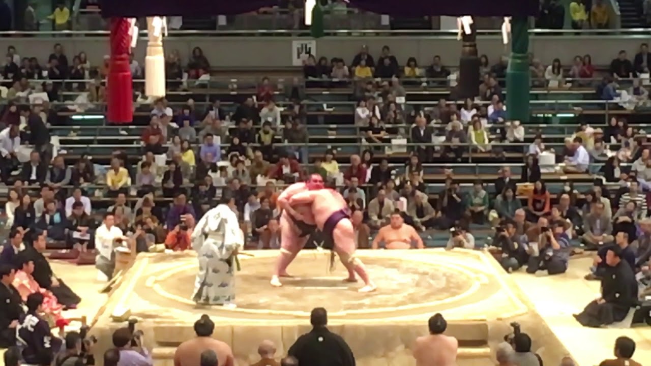 Osaka Sumo Tournament - Adrien Harrison - Echo Studio