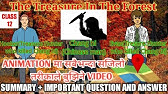 the treasure in the forest questions and answers
