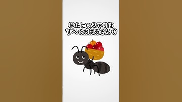 【しょうもない】ちょっと面白い雑学（？） #ai #豆知識 #チャットgpt #chatgpt #雑学#shorts