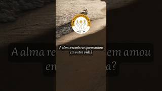 A alma reconhece quem amou em outra vida? #LivrodosEspíritos #Espiritismo #AllanKardec