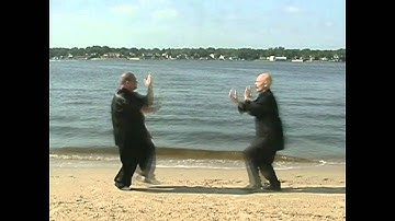Hsing Yi - 5 Element 2 Man Form - Demonstration