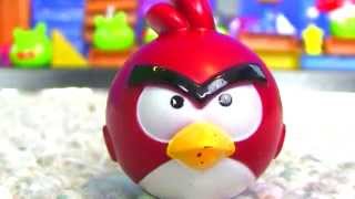 Epic Angry Birds War!!!  - Must See!