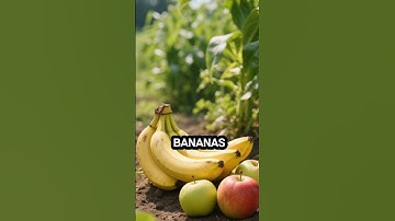 Bananas ripen faster beside apples—nature’s timer at work. #banana #shortsfeed #shorts #apple